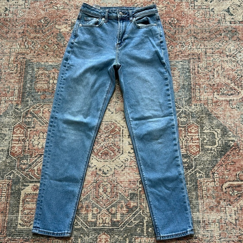 American Eagle Standard Classic Wash Stretch Jean/Size 0